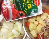 チキンのトマト煮込みカレー作り方3写真