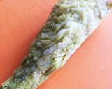 キャベツ むき方作り方6写真