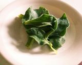 アイスプラントのシンプルサラダ作り方1写真