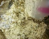 簡単コーヒクッキー作り方3写真