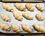 簡単成形☆ブラン塩パン作り方14写真