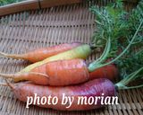 おばぁ直伝ワザあり！にんじんのしりしり作り方1写真