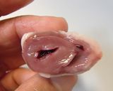 鶏ハツの下ごしらえ作り方6写真