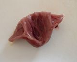 鶏ハツの下ごしらえ作り方9写真