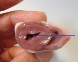 鶏ハツの下ごしらえ作り方8写真