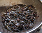 いかなごの釜揚げとアボカドの春丼物作り方1写真