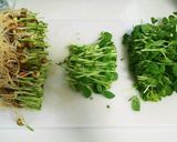 おつまみに!豆苗とコンビーフ炒め作り方1写真