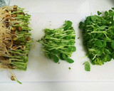 おつまみに！豆苗とコンビーフ炒め作り方1写真