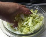 カラダおかず✿酢生姜入りあっさり鶏挽餃子作り方2写真
