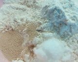 バターなし！ナッツチーズちぎりパン★作り方1写真