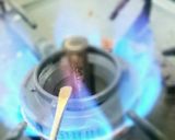 イースターにも♪簡単うずら卵うさぎ作り方1写真