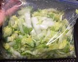 低糖おかず☆白菜の漬物作り方4写真