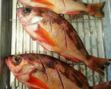 ご飯がすすんで困っちゃうお魚の煮付け作り方2写真