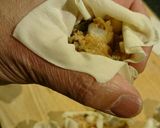 酢生姜醤油で食べる激旨い海老ホタテ焼売作り方7写真