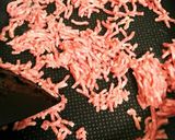 ☆豚ミンチ丼☆楽うま!シンプル作り方2写真