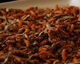 沢山食べて欲しい煮干おやつ鉄フライパン編作り方13写真