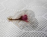 さくらあんパン❀作り方8写真