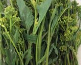 からし菜のおひたし作り方4写真