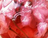 『桜のいなり寿司』作り方1写真