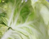 豆腐入白菜バーガー作り方23写真