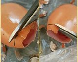 漫画めし:ホワイトアスパラガス冷製ムース作り方25写真