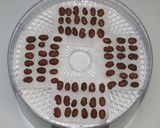 甘さ控えめ手作り☆食品乾燥機で金時甘納豆作り方13写真