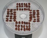 甘さ控えめ手作り☆食品乾燥機で金時甘納豆作り方12写真