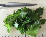 タコと分葱と大葉✿サックリかき揚げ天ぷら作り方2写真