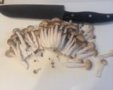 ☆お弁当に！キノコとワカメの鰹節合え☆作り方2写真