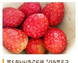 ◎材料2つで変身！甘くないいちご救済技◎作り方2写真