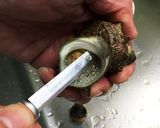 お刺身サザエさん♪作り方1写真