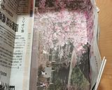スライスチーズでもチーズカステラ♪作り方1写真