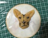 ジュウオウジャー☆ライオン作り方1写真