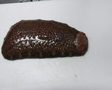 茶ぶりナマコ作り方1写真