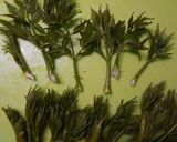 １分で！たらの芽でおひたし作り方1写真