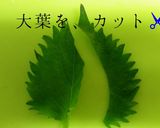 6Pチーズでおはよう☀ にわとりッピー 作り方4写真