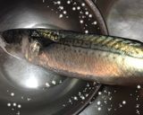 私的☆きつい時の邪道な三枚下ろし作り方1写真