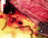 私的☆きつい時の邪道な三枚下ろし作り方13写真