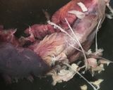 私的☆きつい時の邪道な三枚下ろし作り方15写真