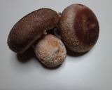 生産者から教えてもらった椎茸の焼き方作り方1写真