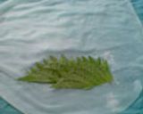 生春巻き作り方8写真