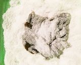 旬を美味しく!もずくの天ぷら作り方2写真