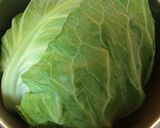 春キャベツ ささみ ポン酢サラダ作り方2写真