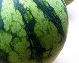 鶏肉とすいかのダンダン作り方7写真