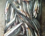 きびなご(小魚)の唐揚げ。 簡単!早い!作り方1写真