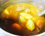 辛みのないマースカレー粉でダシ和風カレー作り方5写真