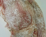 豚肉とﾁｰｽﾞのﾐﾙﾌｨｰﾕ風♪作り方4写真