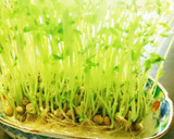 即簡単で美味しい。豆苗とトマトの卵とじ。作り方8写真