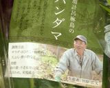 ハンダマとツナのおひたし作り方1写真