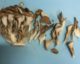 椎茸と舞茸の佃煮作り方4写真